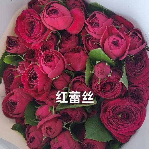 多头玫瑰.红蕾丝 商品图1