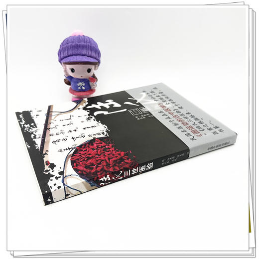 陆氏三世医验 (明) 陆养愚(明) 陆肖愚(明)陆祖愚 撰 候兆辰 点校 中国中医药出版社 中医书籍 商品图2