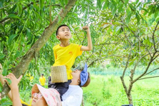 本地夏令营~【7天6晚蒲江蓝莓谷】~向往的假期·趣野户外营！超高性价比1980元/人，让快乐走进童年~山林徒步、野趣攀树~真人CS对抗赛~反曲弓体验百步穿杨~越野车风驰电掣~ 商品图2