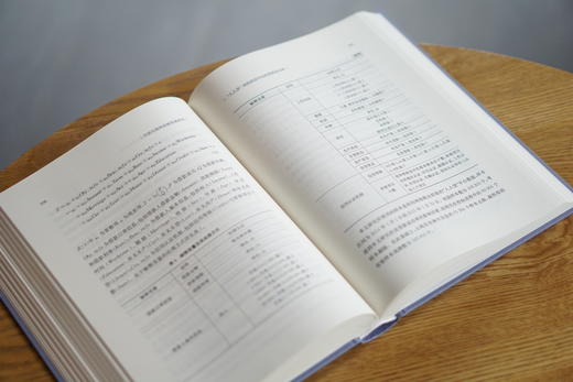 中国互联网金融发展研究 商品图4