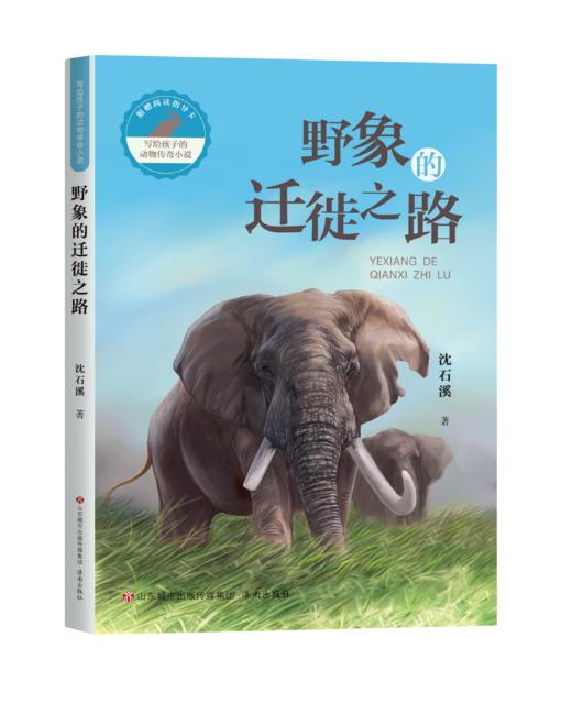 写给孩子的动物传奇小说：野象的迁徙之路 商品图0