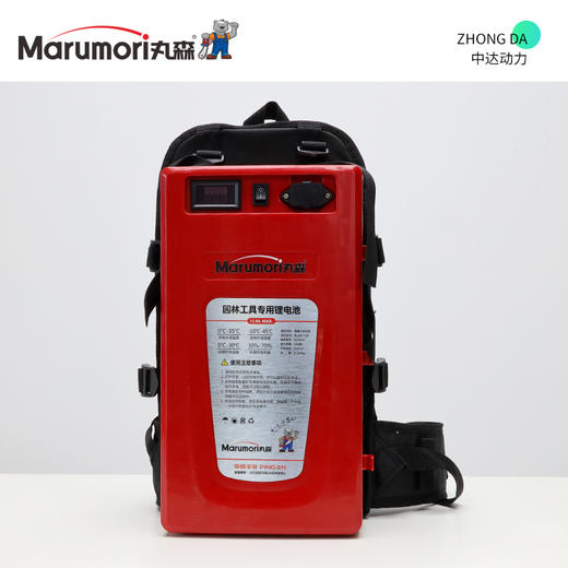 丸森 48V 15Ah【带快充】 商品图0