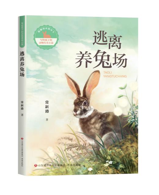 写给孩子的动物传奇小说：逃离养兔场 商品图0
