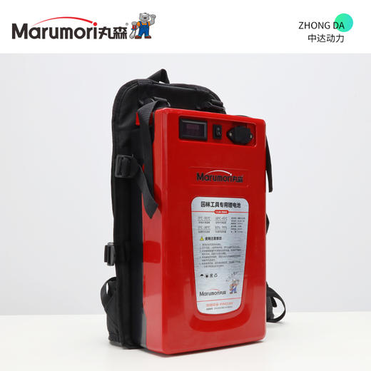 丸森 48V 15Ah【带快充】 商品图1