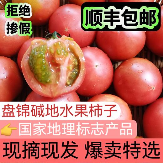 国家地理标志 绿色认证 碱地种植【CCTV推荐-盒马同款盘锦碱地西红柿】高于普通番茄VC含量  顺丰速递 新鲜送到家 商品图0