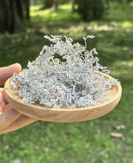 强韵·芽尖莓茶 ，茶中的"黄酮之王"，湘西土家人长寿秘诀 商品图4