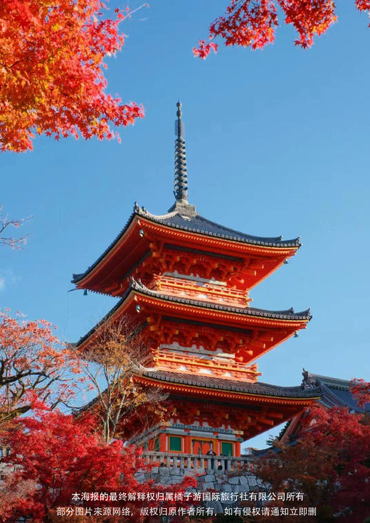 【日本本州六天】 本州 5+1 半自助游 商品图2