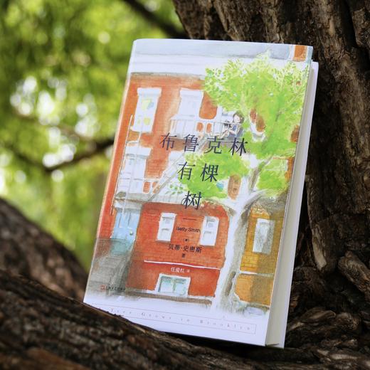 布鲁克林有棵树 商品图1