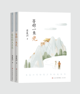 肖复兴写给青少年的成长书套装（2本）
