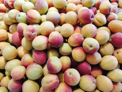 胭脂杏2斤 商品图1