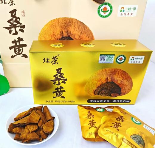 【新品首发】北茶有机金边桑黄    基地直邮 商品图2