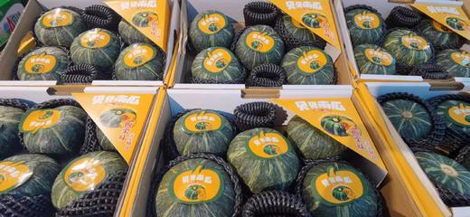 【预售】贝贝南瓜，小巧玲珑，粉糯诱人 低热量、高饱腹感. 香、粉、糯，板栗味儿， 满88包邮 商品图2