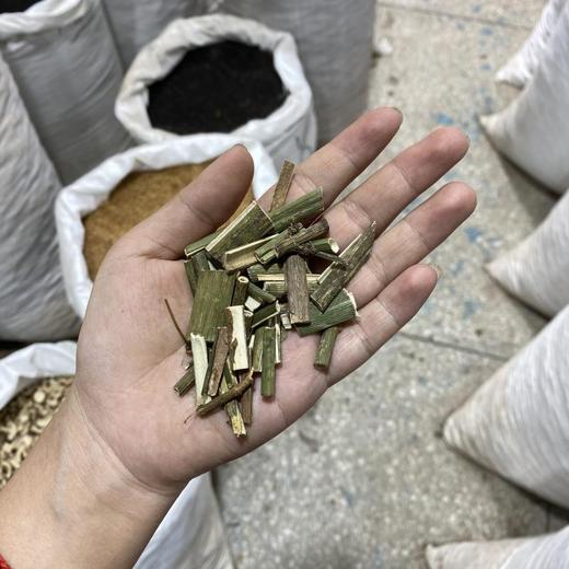 鬼吹萧  鬼吹哨  空心木 商品图4