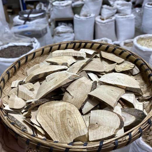 毛冬青 商品图1