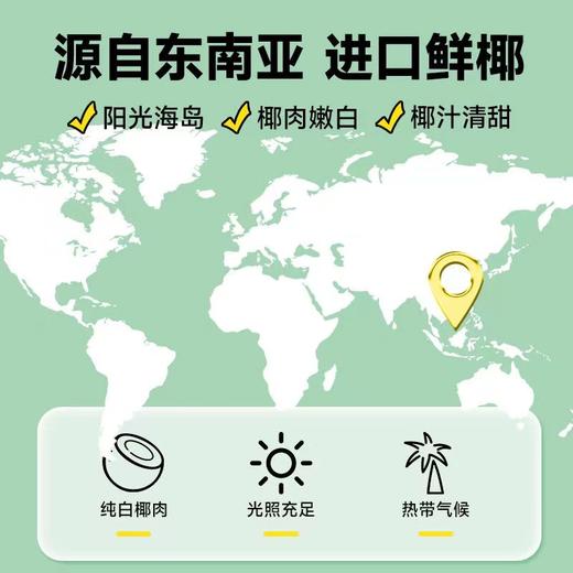 轻上椰汁0糖生椰 商品图2