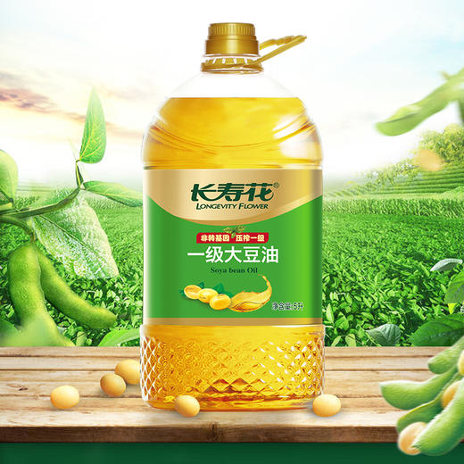 长寿花一级大豆油5L食用油非转基因大豆油 商品图6