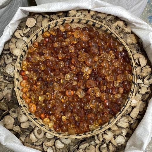 桃胶 纯圆小粒 优质小圆颗粒 家用食材 商品图2