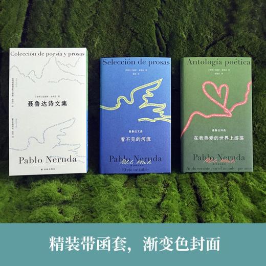 聂鲁达诗文集2册套装《在我热爱的世界上游荡：聂鲁达诗选》《看不见的河流：聂鲁达文选》 商品图3