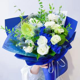 夏安——海洋的风