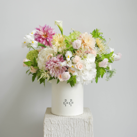 浣花白镜 Petalglow