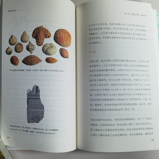 看见迦太基 （突尼斯）萨米尔·奥纳拉 著  郑珊珊 译 北京大学出版社 商品图4