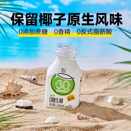 轻上椰汁0糖生椰 商品图1