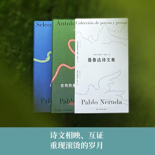聂鲁达诗文集2册套装《在我热爱的世界上游荡：聂鲁达诗选》《看不见的河流：聂鲁达文选》 商品图1