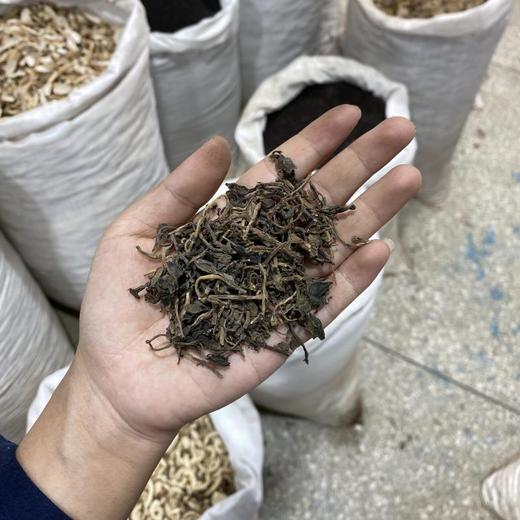 马齿苋 商品图4