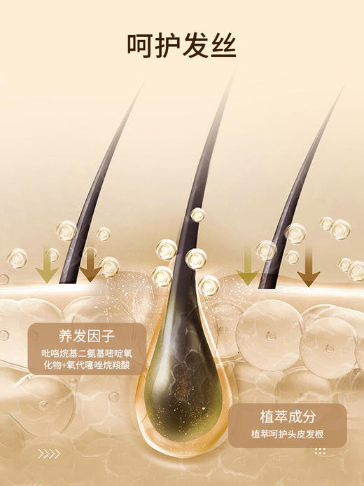 likefeel防脱营养液 商品图4