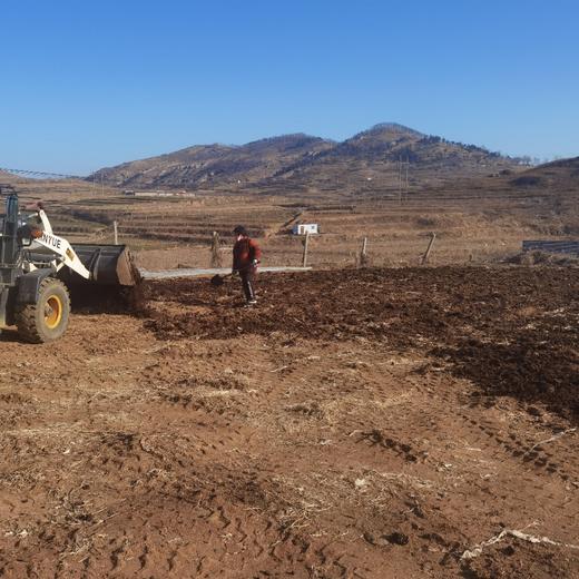 有机紫洋葱 紫洋葱和黄洋葱可选 口感脆甜微辣 紫洋葱是水果洋葱，适合生食、凉拌或炒食；黄洋葱炒食很甜 商品图6