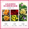 【55元会员福利】蔬果园蓝风铃香水柔软洗衣液3.5kg  商品缩略图4