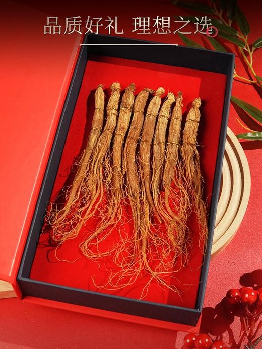 主推【长白山人参】全须红参80克礼盒 商品图2
