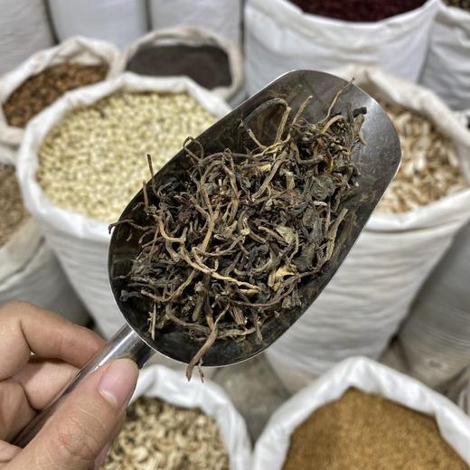 马齿苋 商品图3