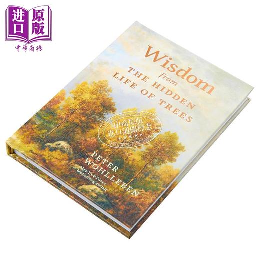 【中商原版】树的秘密生命 来自树木隐藏生命的智慧 Wisdom from the Hidden Life of Trees 英文原版 Peter Wohlleben 商品图2