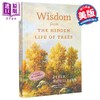 【中商原版】树的秘密生命 来自树木隐藏生命的智慧 Wisdom from the Hidden Life of Trees 英文原版 Peter Wohlleben 商品缩略图0