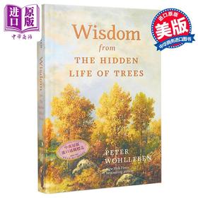 【中商原版】树的秘密生命 来自树木隐藏生命的智慧 Wisdom from the Hidden Life of Trees 英文原版 Peter Wohlleben