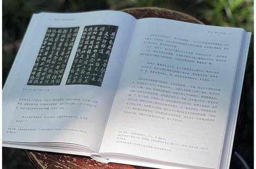 《非尚意：苏轼的书法和他的时代》，精装，16开，王义军著，中国美术学院出版社2024年一版一印，368页，定价98，售价：78元。 商品图5