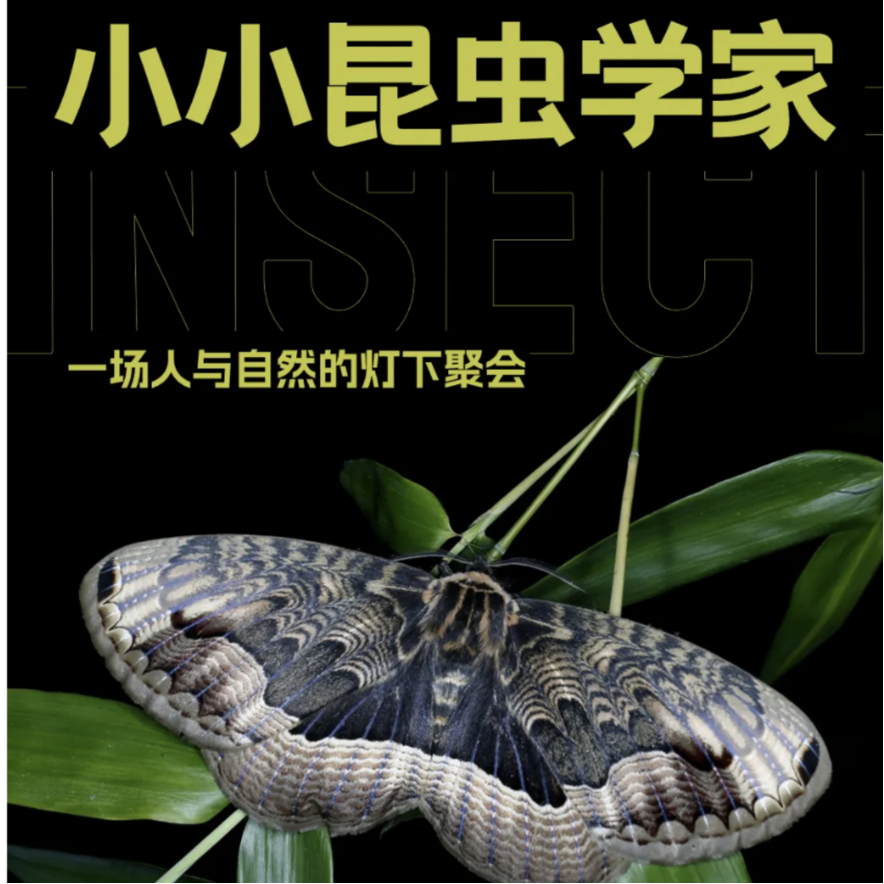 动物园系列活动｜小小昆虫学家