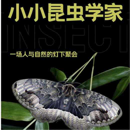动物园系列活动｜小小昆虫学家 商品图0