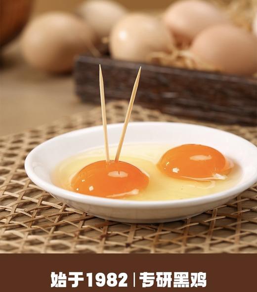 有机黑鸡鸡蛋30枚/盒 商品图6