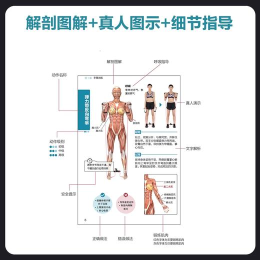 力量训练彩色图谱 口袋版 健身书籍 健身训练计划 增肌书籍 力量与肌肉训练图谱 肌肉力量训练图谱 商品图2