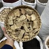山乌龟 地不容 商品缩略图0
