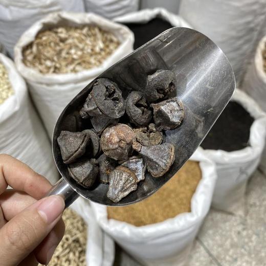 一口钟 商品图3