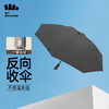 蕉下（beneunder）全自动雨伞三折加固折叠8骨伞 商品缩略图2