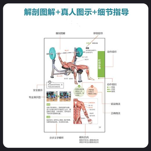 健身房训练彩色图谱 口袋版 健身书籍 健身训练计划 增肌书籍 力量与肌肉训练图谱 力量训练书籍 商品图3