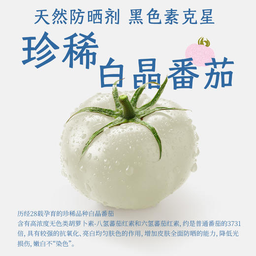 【真不二】 玉露白番茄泡脚足浴包（7包//袋） 商品图2