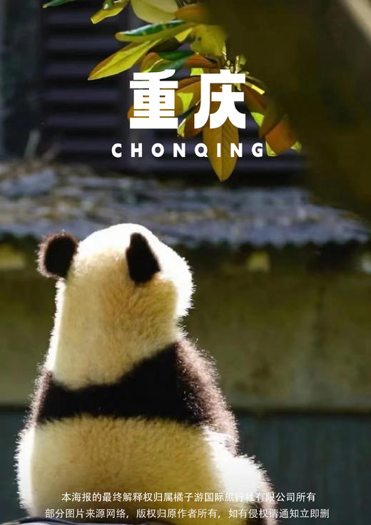 【抖来重庆看熊猫】重庆双动4天游 商品图0