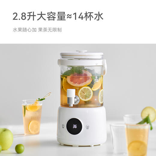 olayks立时养生壶家用办公室保温花茶煮茶器 商品图2