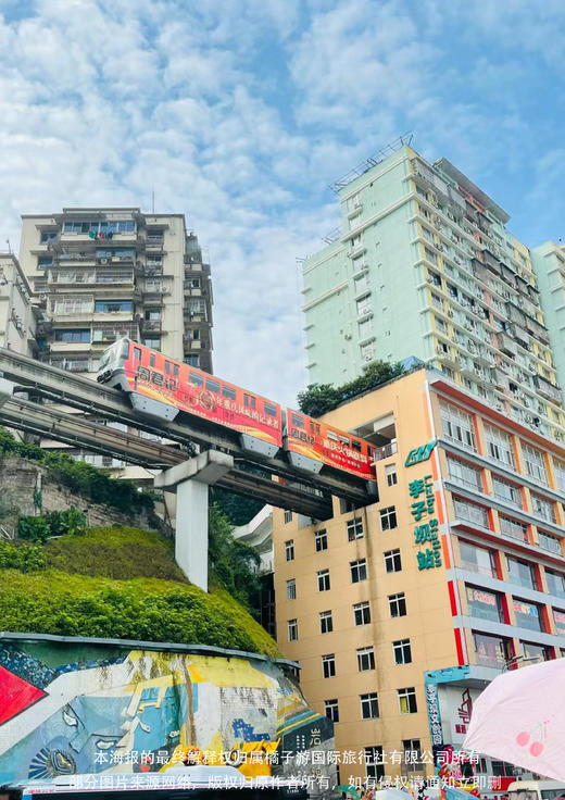 【抖来重庆看熊猫】重庆双动4天游 商品图2