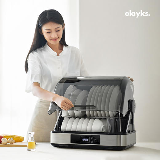 olayks立时原创设计消毒柜家用小型消毒碗柜 商品图1